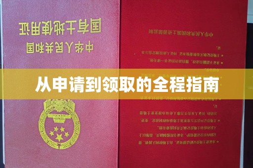 涉县从申请到领取的全程指南
