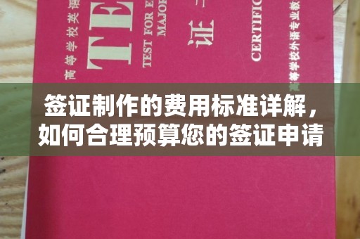 涉县签证制作的费用标准详解，如何合理预算您的签证申请成本